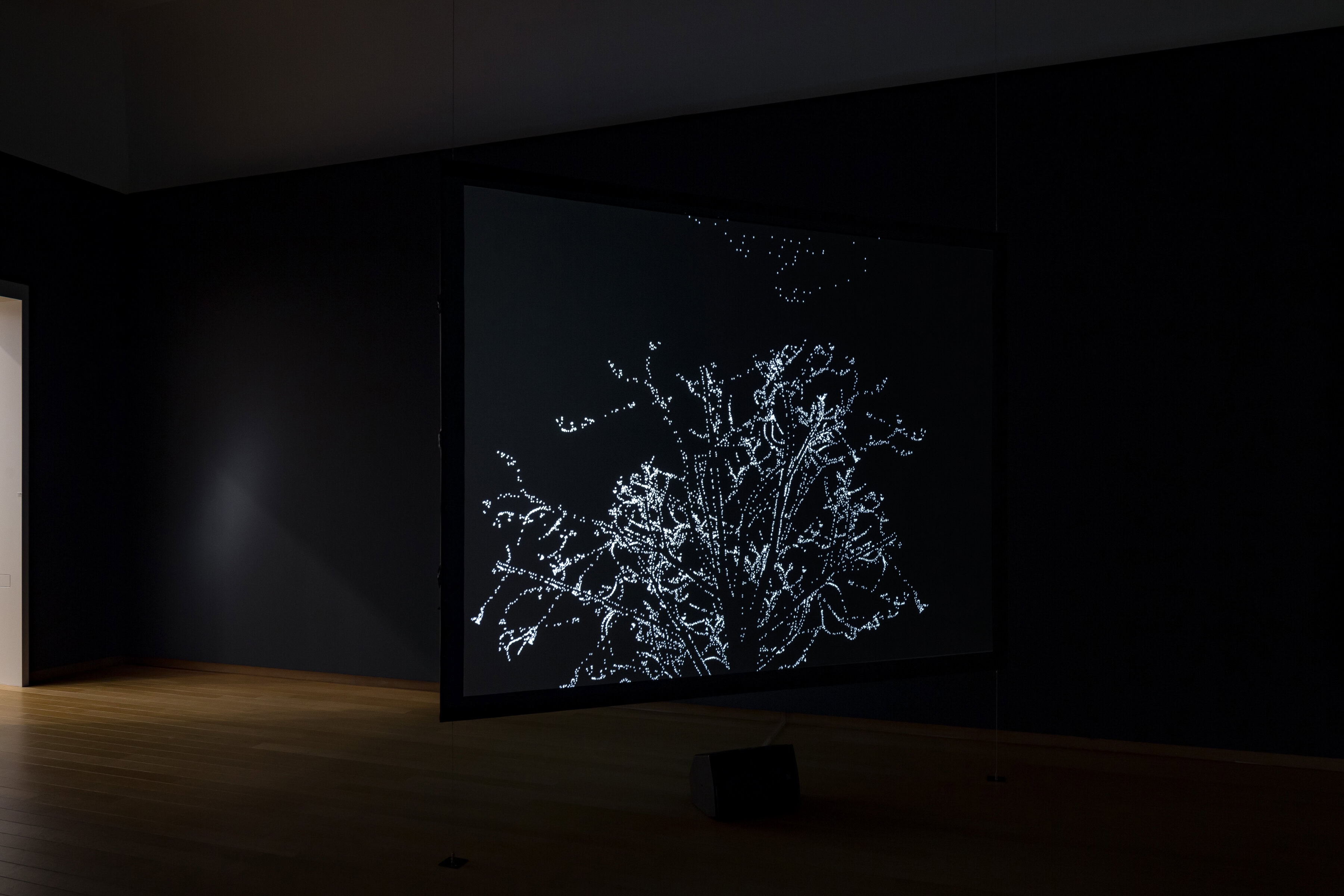 Estudio Amorales – The Factory- Stedelijk museum